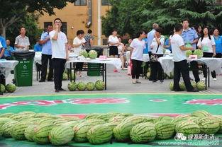 吃瓜大赛活动方案