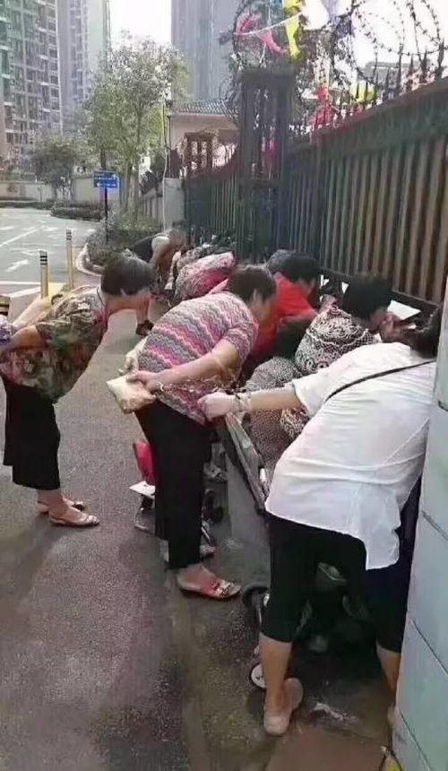 娱乐吃瓜酱人贩子是谁,网络迷雾中的真相探寻